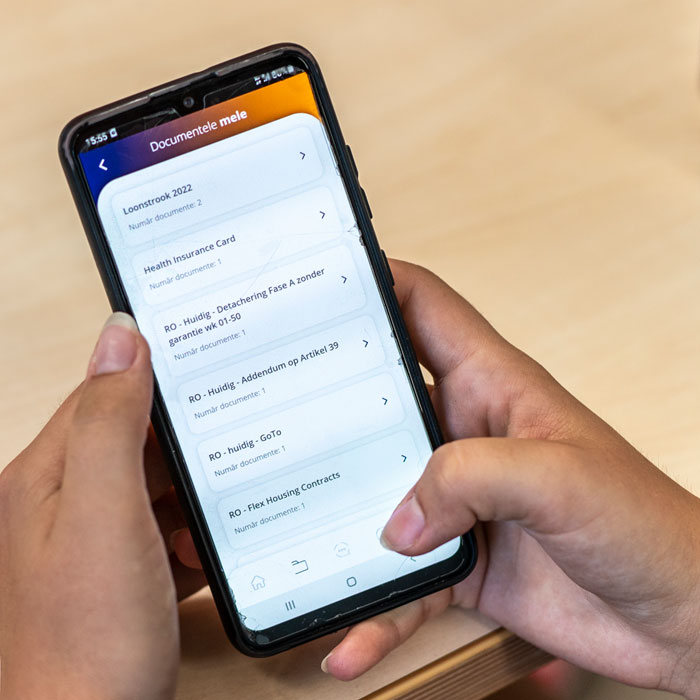 Pay Check SBA Flex App
